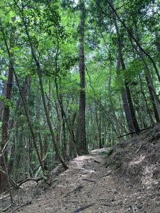 納古山